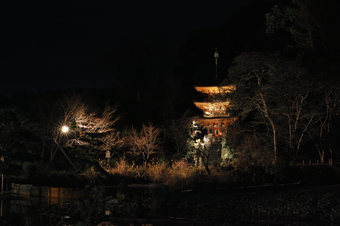 夜の浄瑠璃寺。