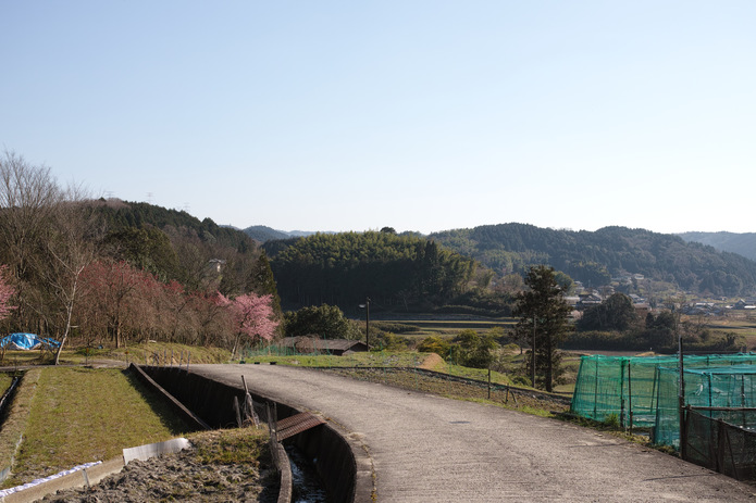 狭川には美しい田園風景が広がっていました。