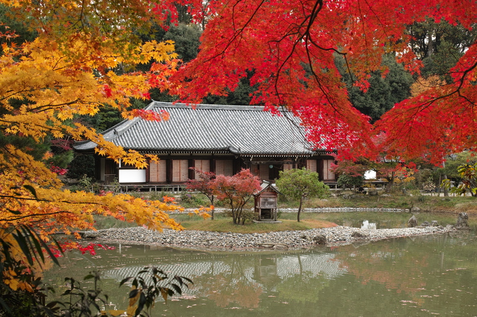 紅葉の浄瑠璃寺 2016