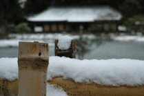 雪の浄瑠璃寺 2017