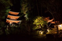 岩船寺「秋の夜間拝観」