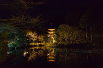 浄瑠璃寺で除夜の鐘2019
