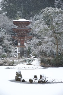 雪の浄瑠璃寺 2021
