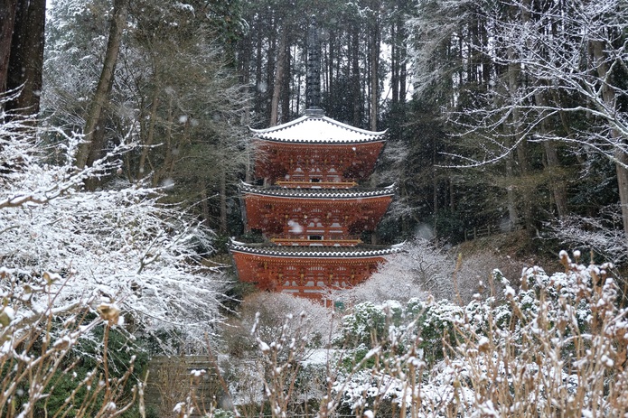 雪の岩船寺 2021