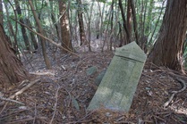 森旧墓在銘圭頭六字名号板碑