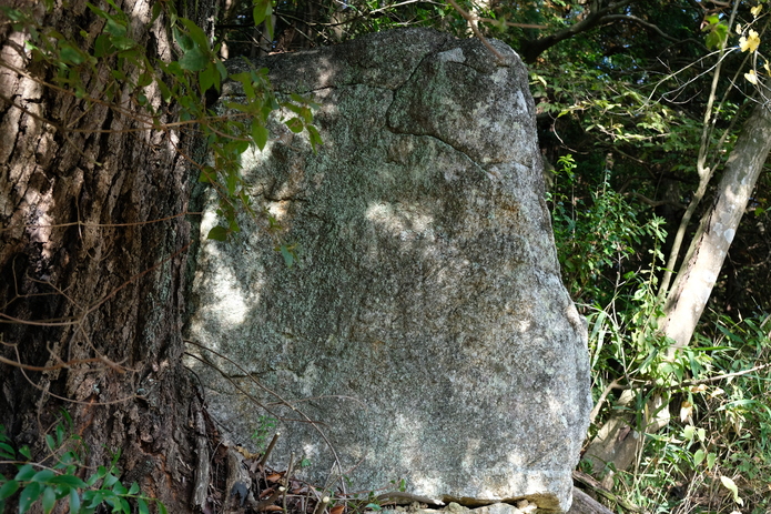 岩の南側