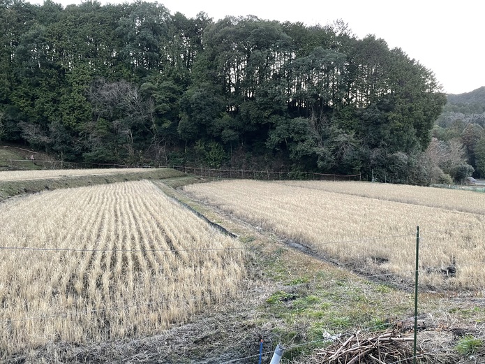 写真は須川本城推定地から見た「北坂ノ上」。
