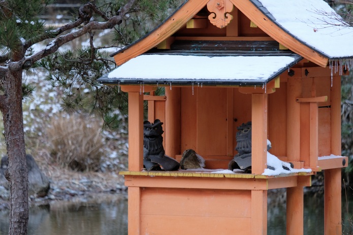 浄瑠璃寺中島弁財天社